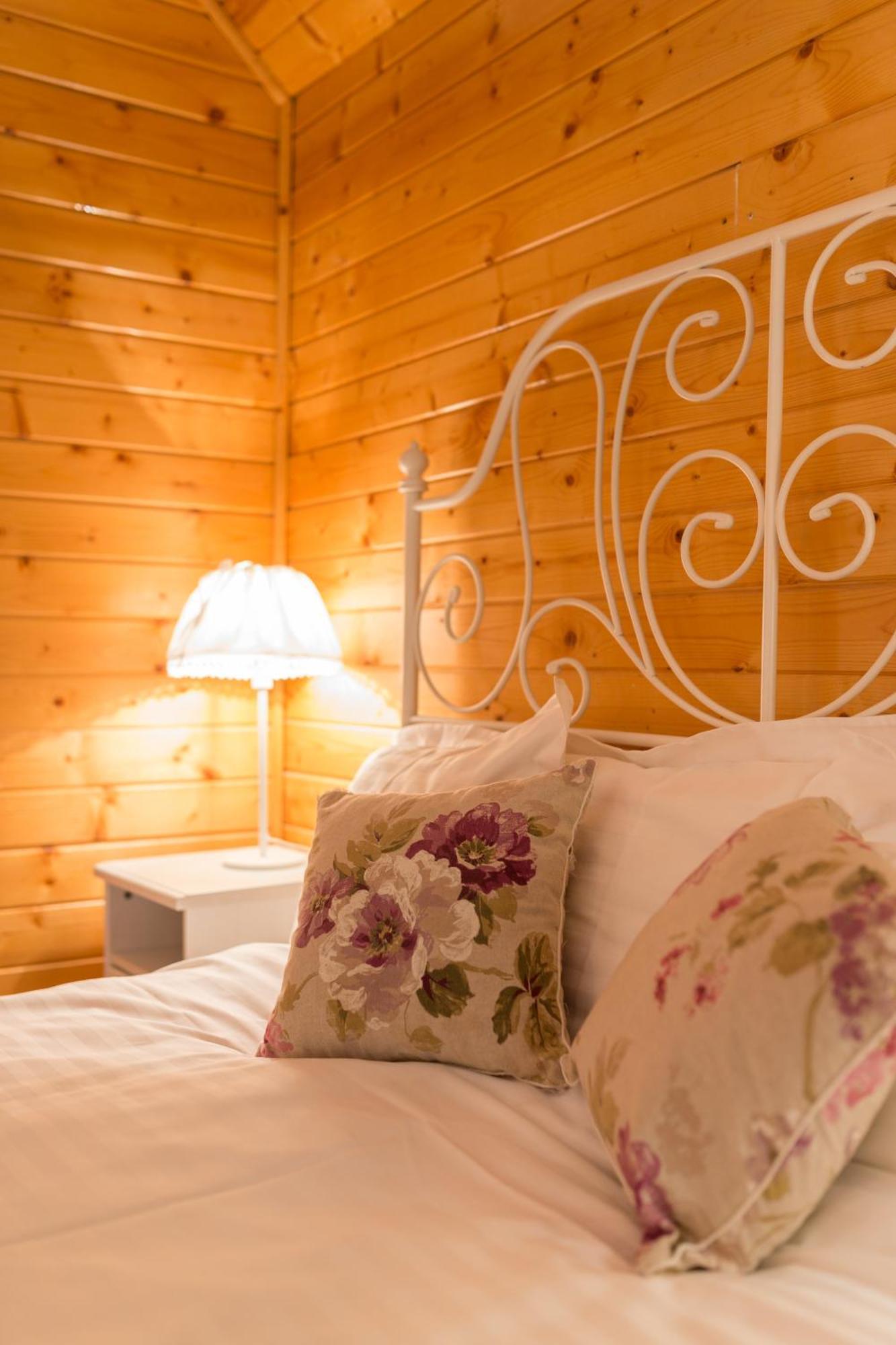 Carpathian Log Home Bran  Room photo